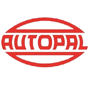 RNIT AI Solutions Ltd Share Price