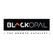 Black Opal Consultants Limited logo
