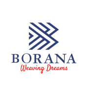 Borana Weaves Ltd Share Price