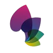 Bella Casa Fashion & Retail Ltd Share Price