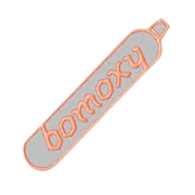 Bombay Oxygen Investments Ltd Share Price