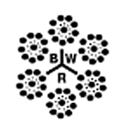 Bombay Wire Ropes Ltd Share Price