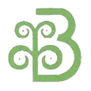 Brijlaxmi Leasing & Finance Ltd Share Price