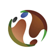 CCL International Ltd Share Price