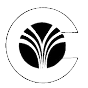 CLIO Infotech Ltd Share Price