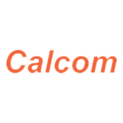 Calcom Vision Ltd Share Price