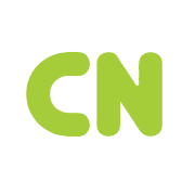 CapitalNumbers Infotech Ltd Share Price