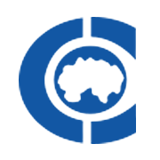 Chandra Prabhu International Ltd Share Price