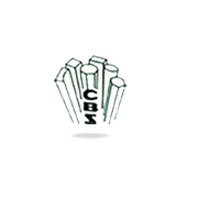 Chase Bright Steel Ltd Share Price