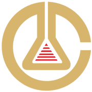 Citichem India Ltd Share Price