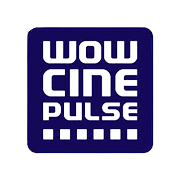 City Pulse Multiventures Ltd Share Price