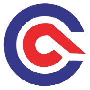 Competent Automobiles Company Ltd Share Price