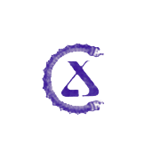 Continental Chemicals Ltd Share Price