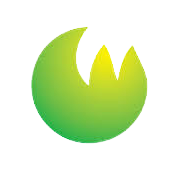 Cyber Media (India) Ltd Share Price