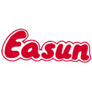 Easun Capital Markets Ltd Share Price