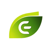 Emergent Industrial Solutions Ltd Share Price