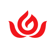 Gayatri Sugars Ltd Share Price