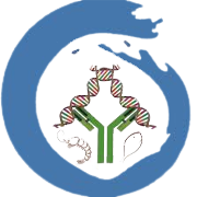 CCME Global Ltd Share Price