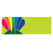 Greenlam Industries Ltd Share Price