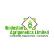 Hindustan Agrigenetics Ltd Share Price