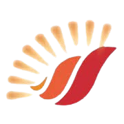 Hindusthan Insulators & Industries Ltd Share Price