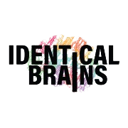 Identical Brains Studios Ltd Share Price