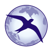 Ind-Swift Laboratories Ltd Share Price