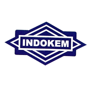Indokem Ltd Share Price