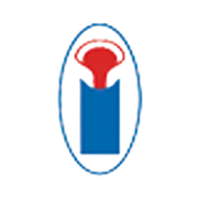 Indsil Hydro Power & Manganese Ltd Share Price