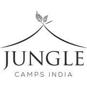 Jungle Camps India Ltd Share Price