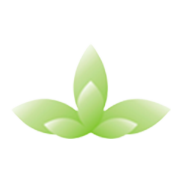 Mizzen Ventures Ltd Share Price