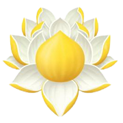 Kerala Ayurveda Ltd Share Price