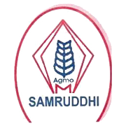 M P Agro Industries Ltd Share Price