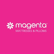 Magenta Lifecare Ltd Share Price