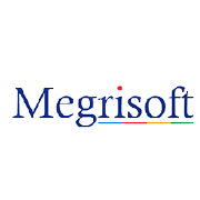 Megri Soft Ltd Share Price
