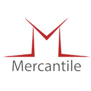Mercantile Ventures Ltd Share Price