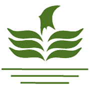 Morarka Finance Ltd Share Price