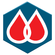 Mysore Petro Chemicals Ltd Share Price