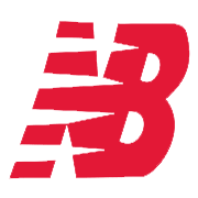 NB Footwear Ltd Share Price