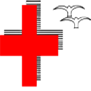 N G Industries Ltd Share Price