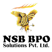 NSB BPO Solutions Ltd Share Price