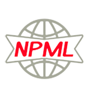 Neeraj Paper Marketing Ltd Share Price