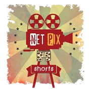 Net Pix Shorts Digital Media Ltd Share Price