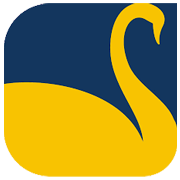 New Swan Multitech Ltd Share Price