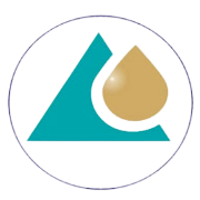 Nirmitee Robotics India Ltd Share Price
