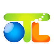 Orient Tradelink Ltd Share Price