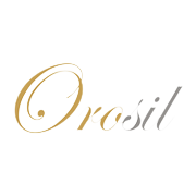 Orosil Smiths India Ltd Share Price