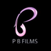 P. B. Films Ltd Share Price
