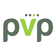 PVP Ventures Ltd Share Price