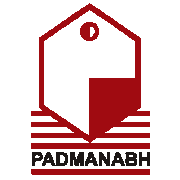 Padmanabh Alloys & Polymers Ltd Share Price